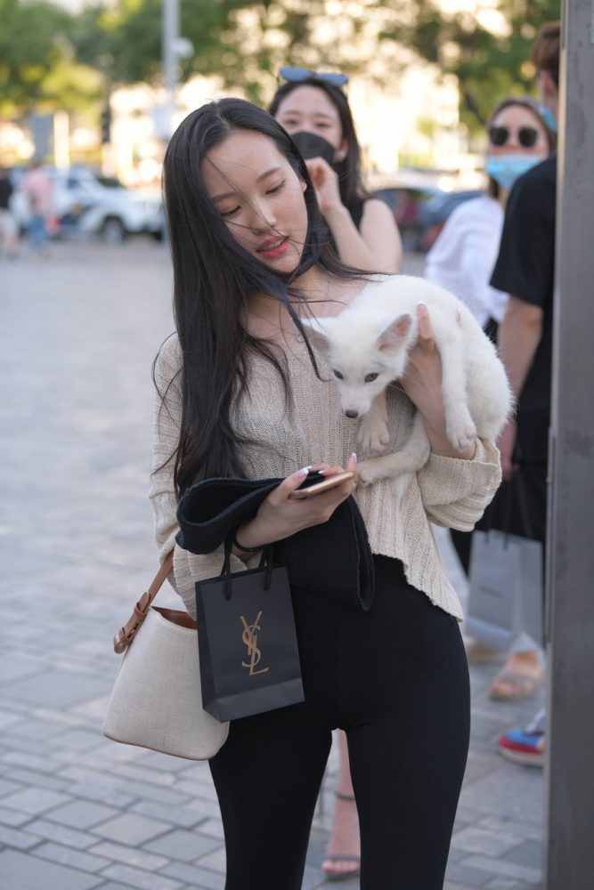 抱着小狗的漂亮女孩 J2106 136P-3.25GB-小李街拍